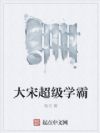 大宋超级学霸
